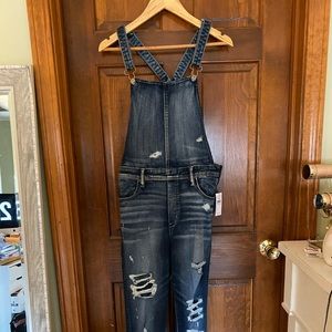 American Eagle Jegging Denim Overalls